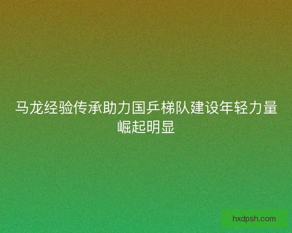 马龙经验传承助力国乒梯队建设年轻力量崛起明显
