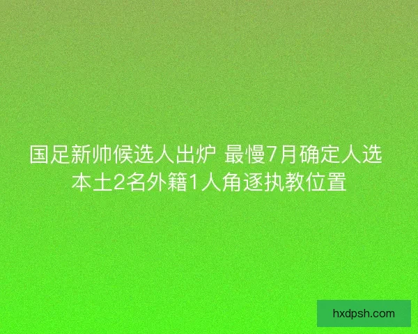 国足新帅候选人出炉 最慢7月确定人选 本土2名外籍1人角逐执教位置 国足新帅候选人出炉 最慢7月确定人选 本土2名外籍1人角逐执教位置